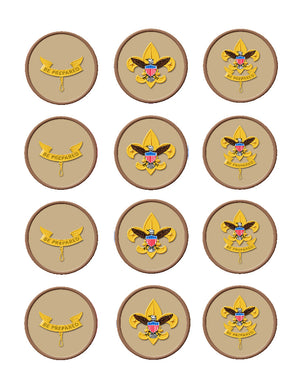 Boy Scout Edible Cupcake Toppers - Cakes For Cures